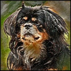 Picture of Tibetan Spaniel-Lord Lil Bit Mug