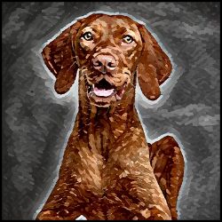 Picture of Vizsla-Lord Lil Bit Mug