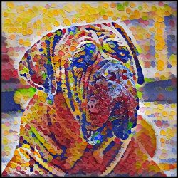 Picture of Boerboel-Party Confetti Mug