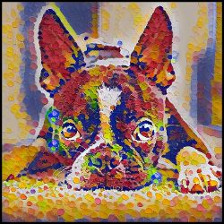 Picture of Boston Terrier-Party Confetti Mug