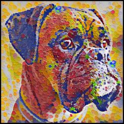 Picture of Boxer-Party Confetti Mug