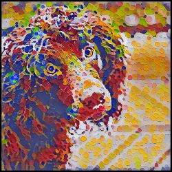 Picture of Boykin Spaniel-Party Confetti Mug