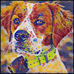 Picture of Brittany Spaniel-Party Confetti Mug