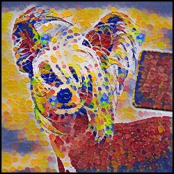 Picture of Chinese Crested-Party Confetti Mug