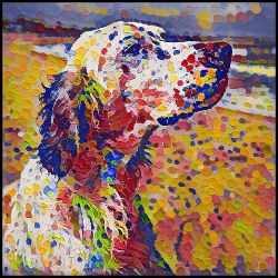 Picture of English Setter-Party Confetti Mug