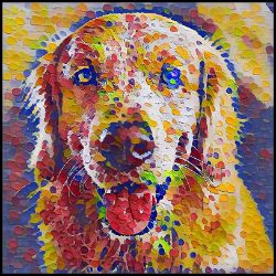 Picture of Golden Retriever-Party Confetti Mug