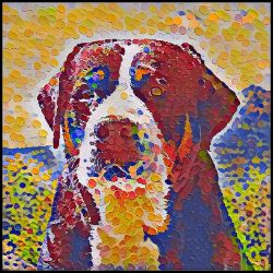 Picture of Greater Swiss Mountain Dog-Party Confetti Mug