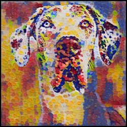 Picture of Great Dane-Party Confetti Mug