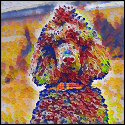 Picture of Poodle Standard-Party Confetti Mug