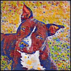 Picture of Staffordshire Bull Terrier-Party Confetti Mug