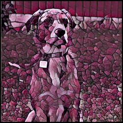 Picture of Catahoula Leopard Dog-Plump Wine Mug