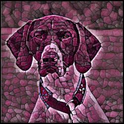 Picture of German Shorthaired Pointer-Plump Wine Mug