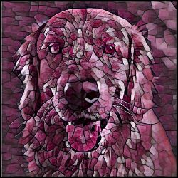 Picture of Golden Retriever-Plump Wine Mug