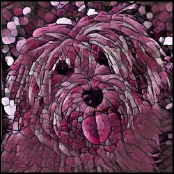 Picture of Havanese-Plump Wine Mug