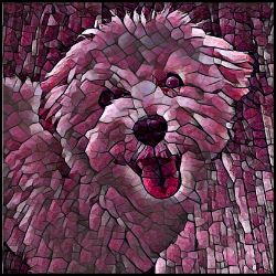 Picture of Maltipoo-Plump Wine Mug