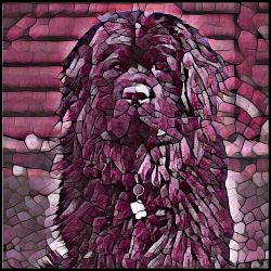 Picture of Newfoundland-Plump Wine Mug