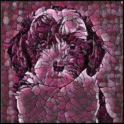 Picture of Sheepadoodle-Plump Wine Mug