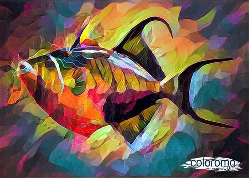 Chromatic Fish Frenzy