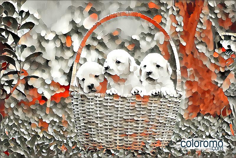 Petal Pups' Basket Bliss