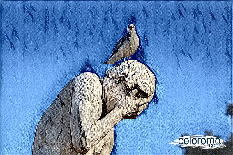 Reflections of Regret